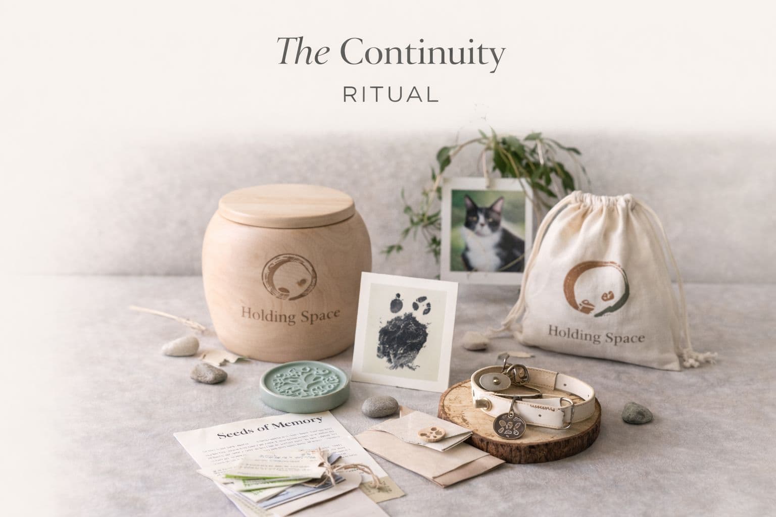 Ritualul Continuității